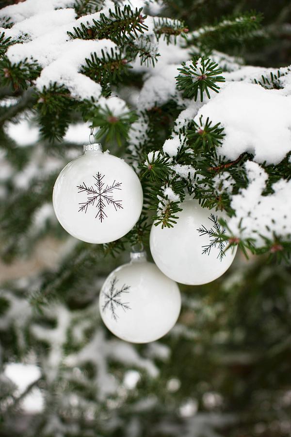 White Christmas Baubles With Snowflake Motifs Hanging From Snow-covered Fir Branches Photograph by Sabine Lscher