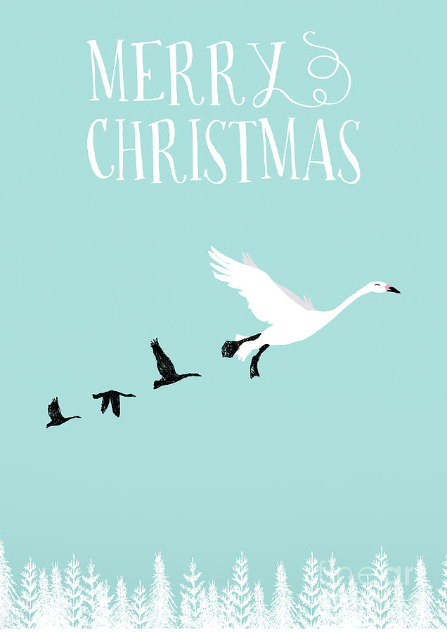 Bird Mixed Media - White Christmas Geese by Amanda Jane