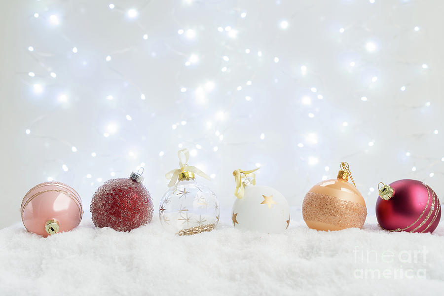White christmas with snow Photograph by Anastasy Yarmolovich