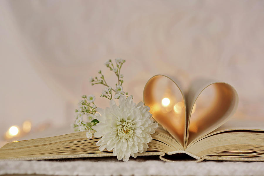 White Chrysanthemum And Gypsophila On Open Book With Inner Pages Rolled Into Love-heart Shape Photograph by Angelica Linnhoff