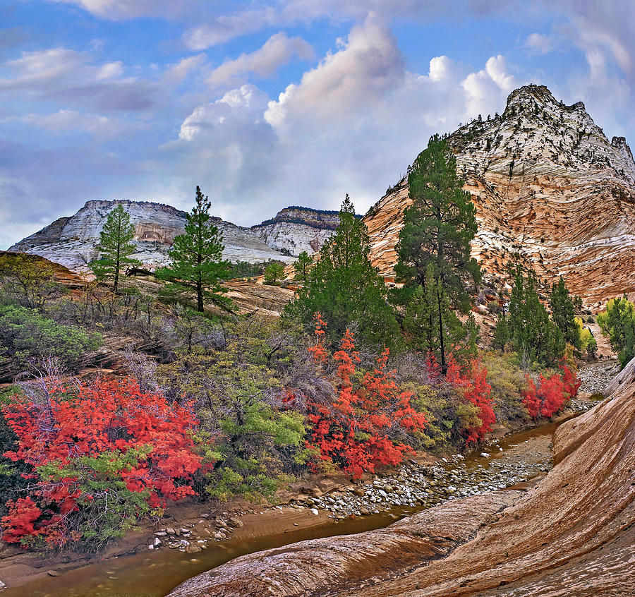 White Cliffs In Autumn Photograph by Tim Fitzharris
