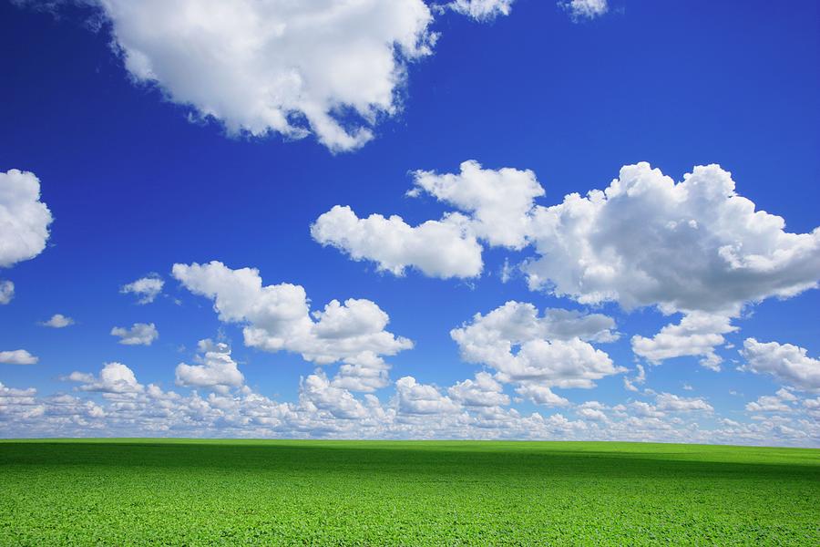 White Clouds In The Sky And Green Meadow Photograph by Design Pics/don Hammond