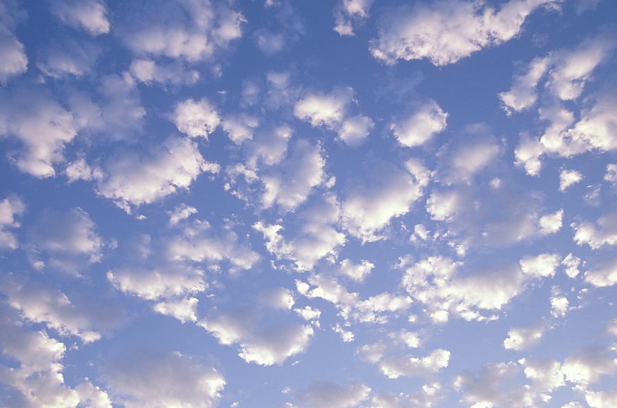 White Cumulus Clouds Photograph by Visionsofamerica/joe Sohm