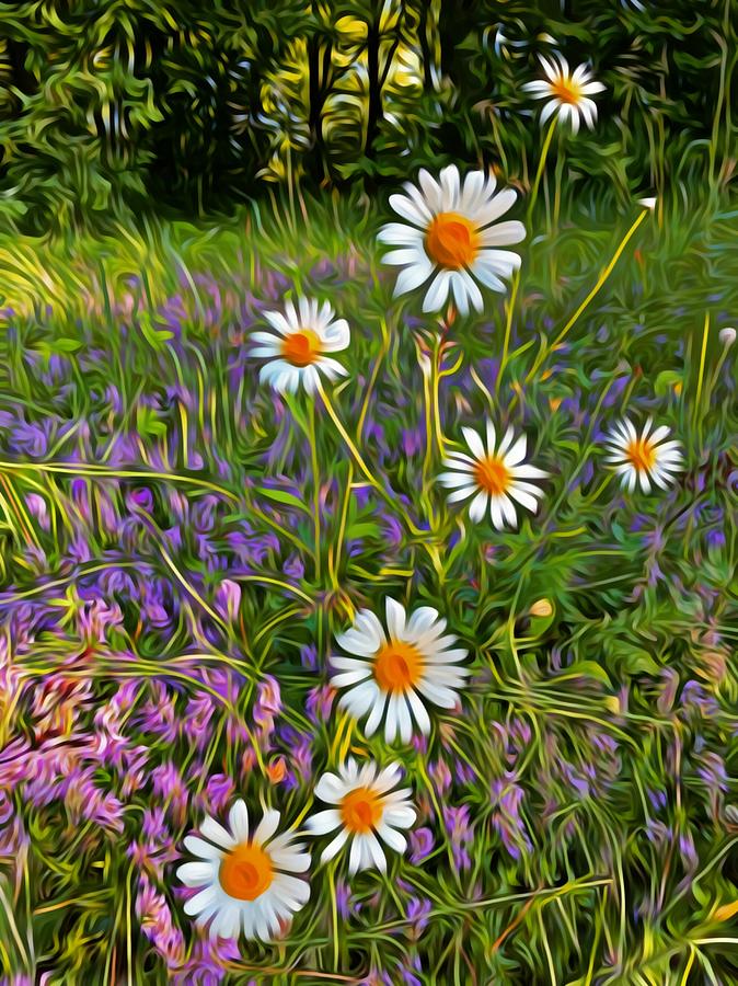 Daisy Mixed Media - White daisy by AE collections