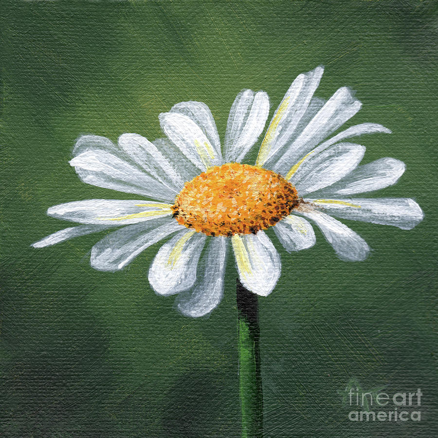 White Daisy Painting by Annie Troe