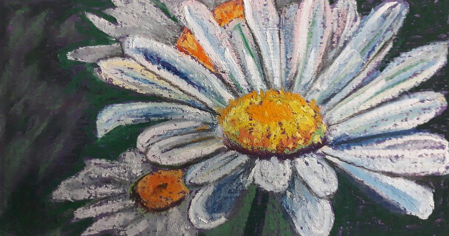White daisy by Jacqui Simpson White daisy by Jacqui Simpson