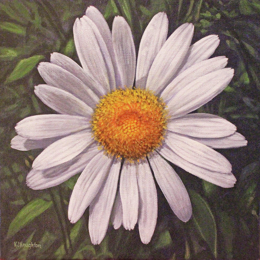 White Daisy by Kathryn Houghton