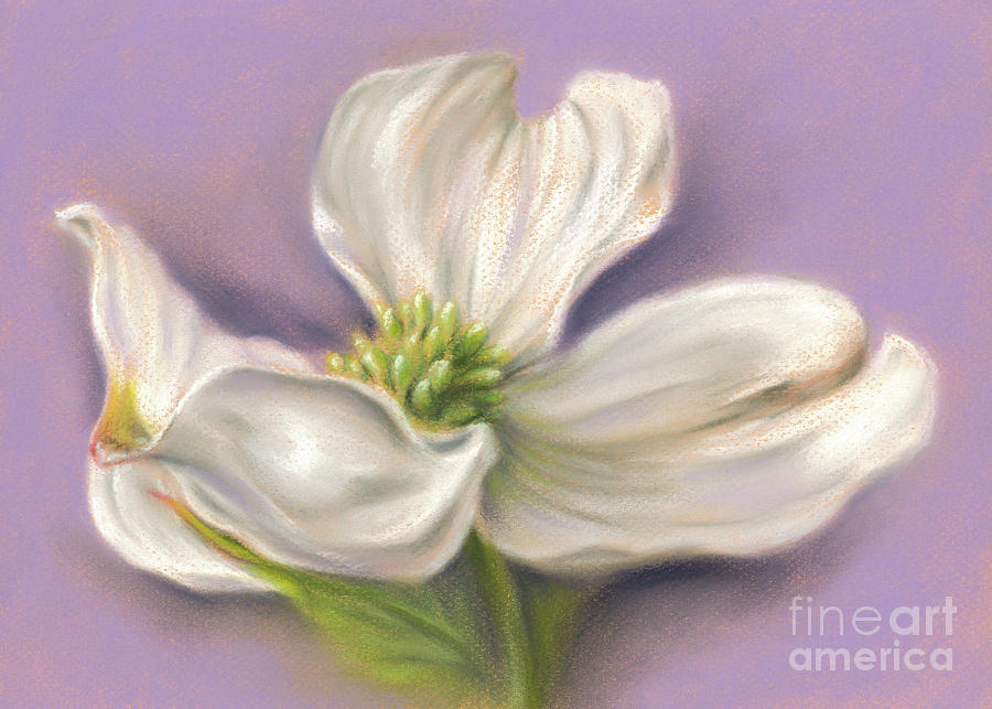 Nature Painting - White Dogwood on Purple by MM Anderson