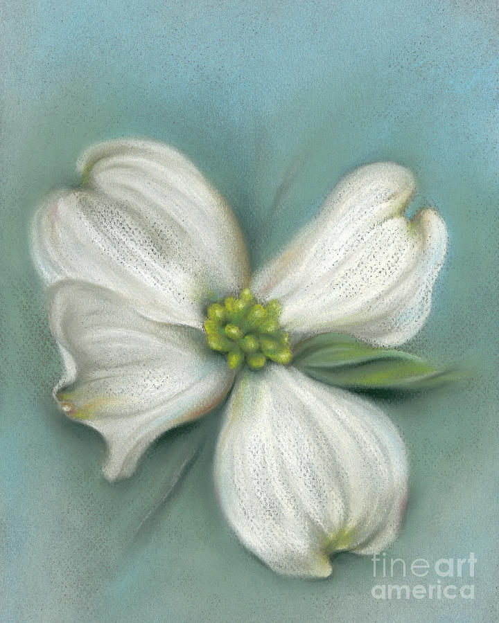 White Dogwood with Leaf Painting by MM Anderson