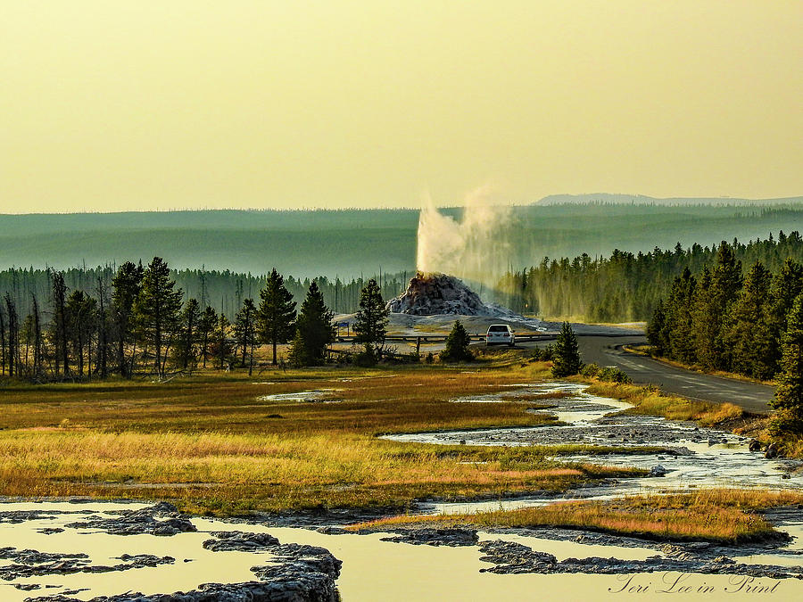 White Dome Geyser by Teri Lee White Dome Geyser by Teri Lee