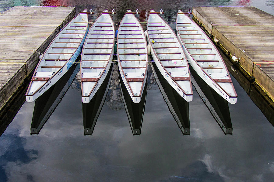 White Dragonboats Photograph by Photography By Jason Gallant
