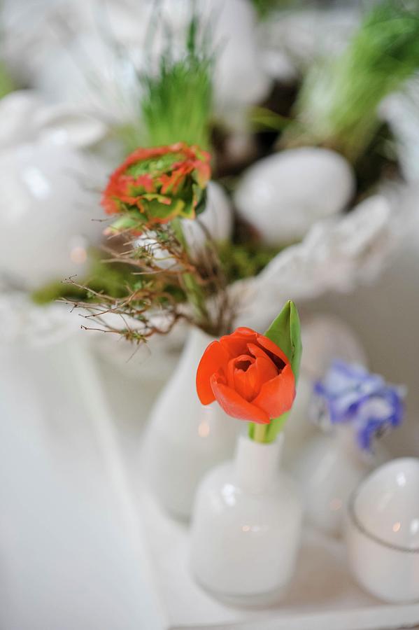 White Easter Arrangement With Orange Flowers On White Table Photograph by Alexandra Feitsch