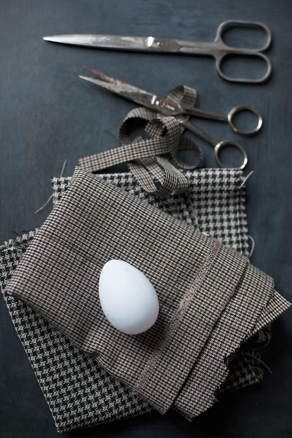 White Egg On Checked Fabric Photograph by Alicja Koll