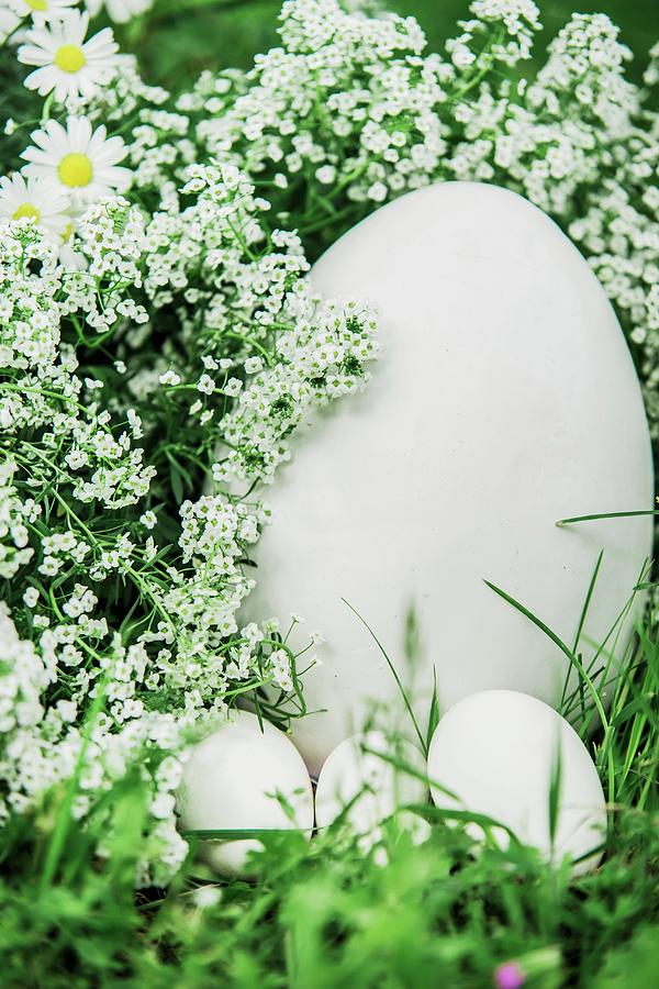 White Eggs Of Different Sizes And White Flowers Amongst Grass Photograph by Bildhbsch