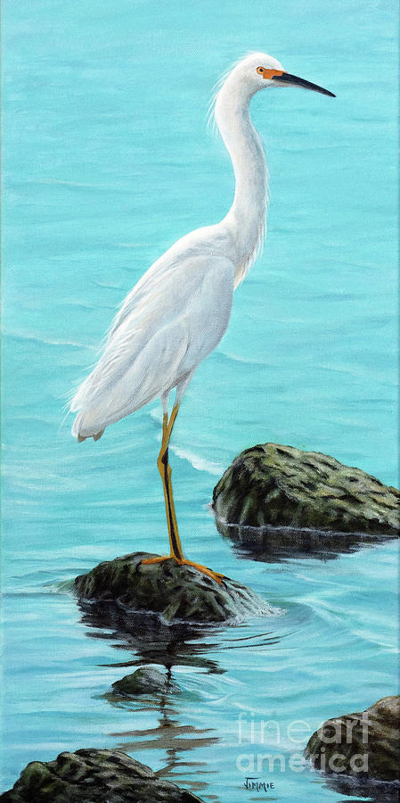 Snowy Egret on the Rocks Painting by Jimmie Bartlett