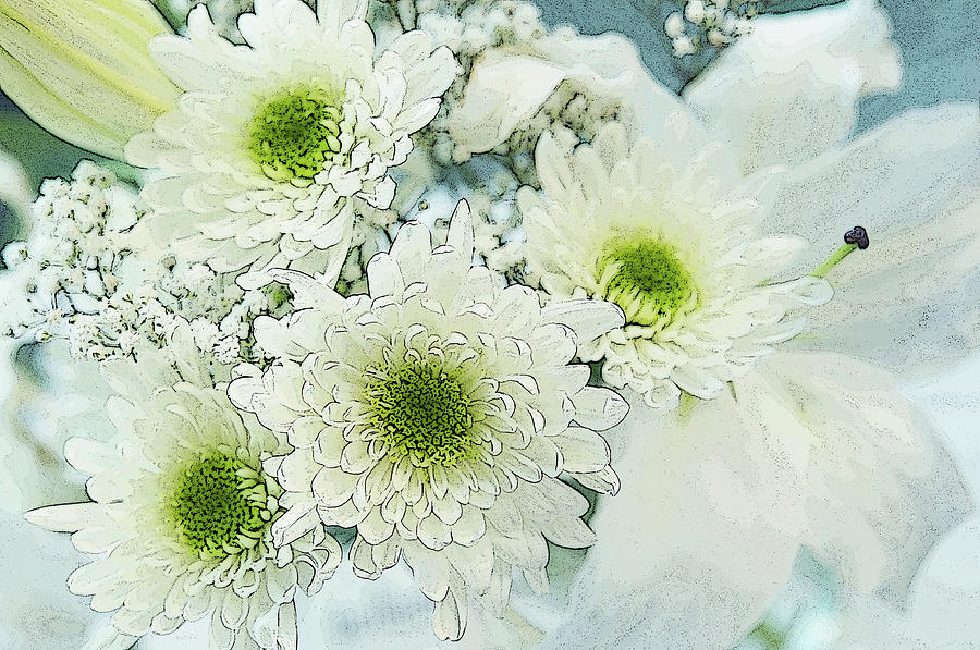 White Flowers Bouquet Photograph by Jenny Rainbow