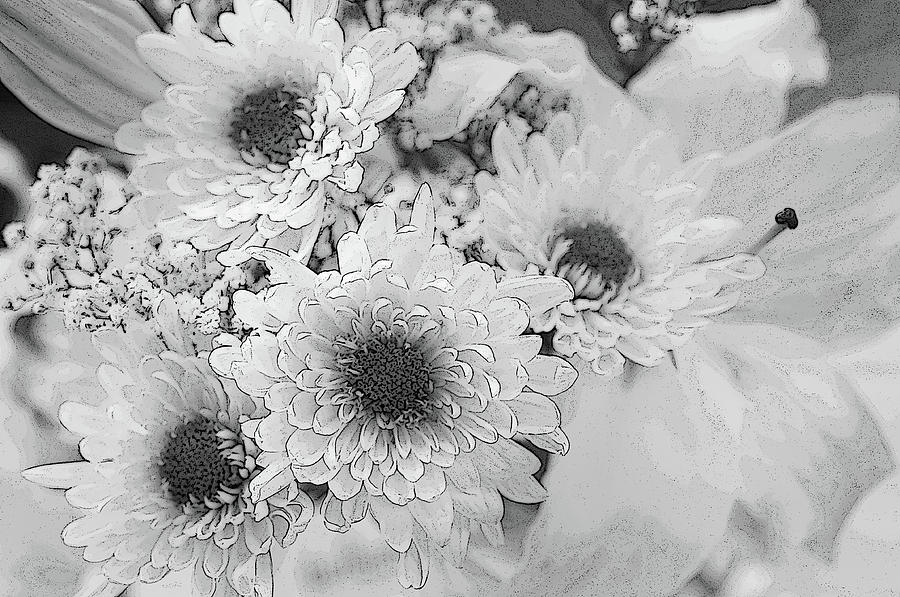 White Flowers. Monochrome Photograph by Jenny Rainbow