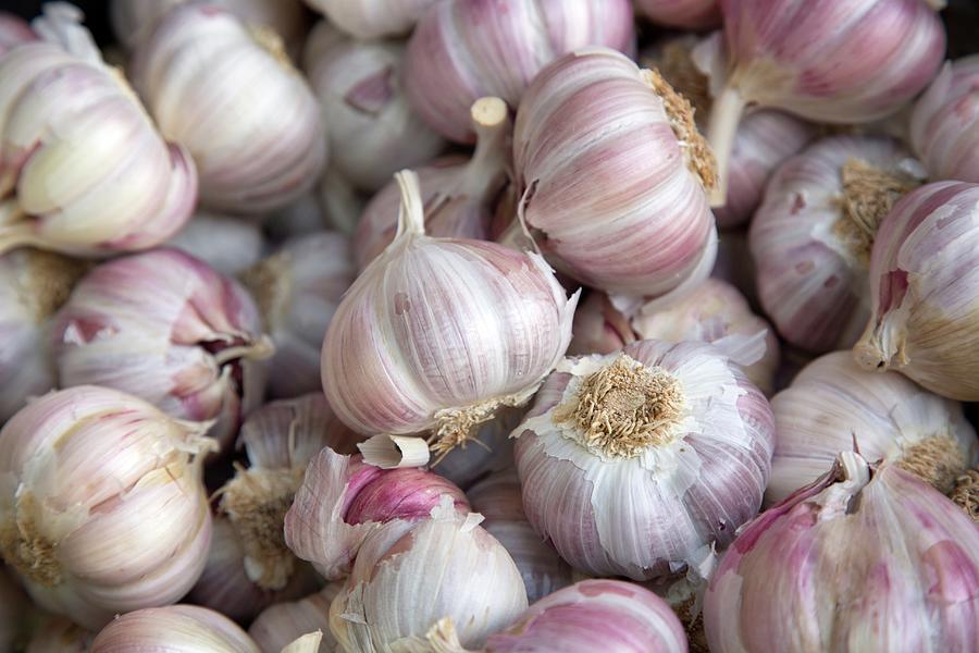 White Garlic Background On Food Market Photograph by Kevin George ...