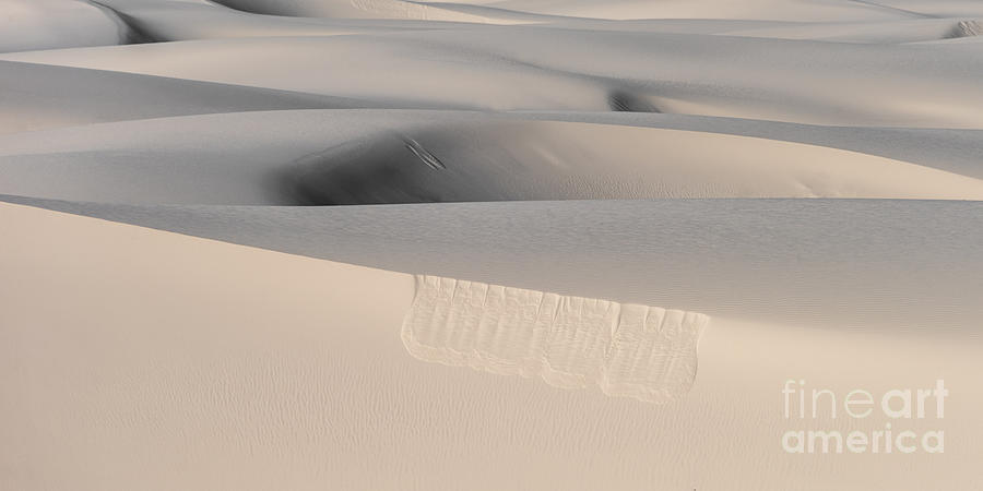 White Gypsum Sand Dunes Photograph by Lisa Manifold