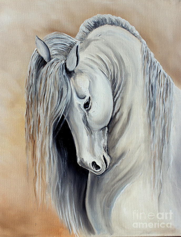 White Horse - Andalusian Painting by Pechez Sepehri