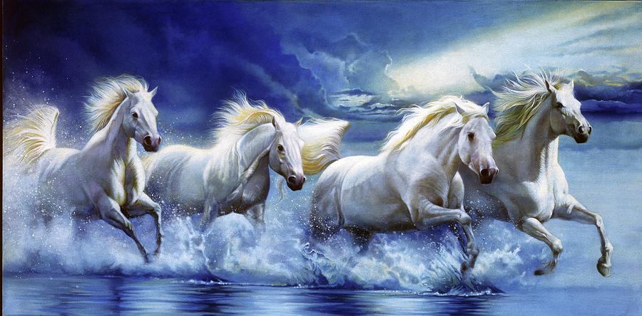Horse Painting - White Horse by John Rowe