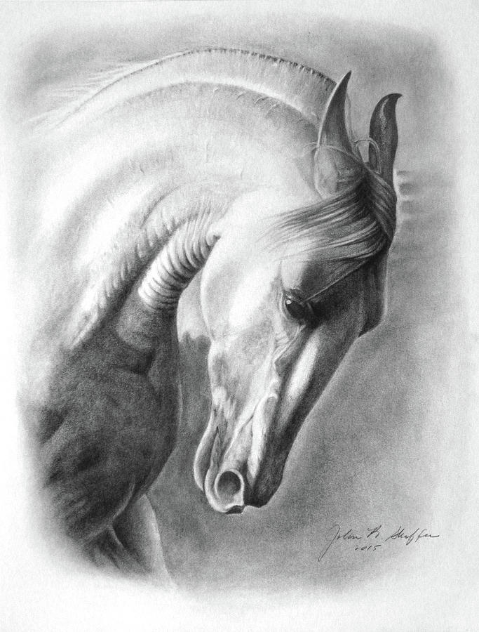 White Horse Drawing by John Shaffer - Fine Art America