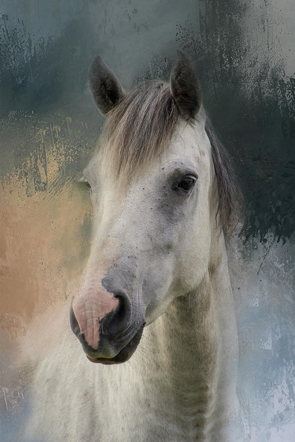 Nature Digital Art - White Horse Painted by Terry Davis
