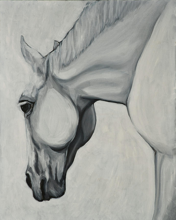 White Horse by Robin Hesse White Horse by Robin Hesse