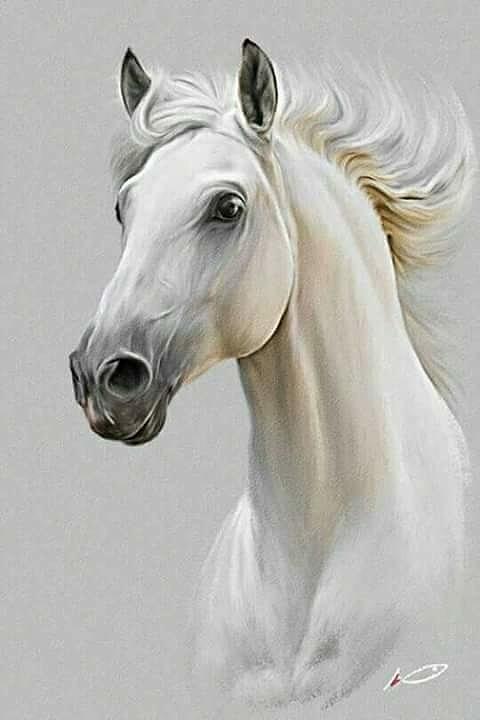 White Horse Painting by Vishal Gurjar