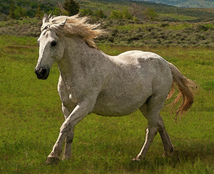 White Horse WY Digital Art by Patricia Teel