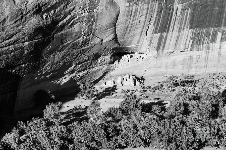 White House - Canyon de Chelly Photograph by Jeff Hubbard
