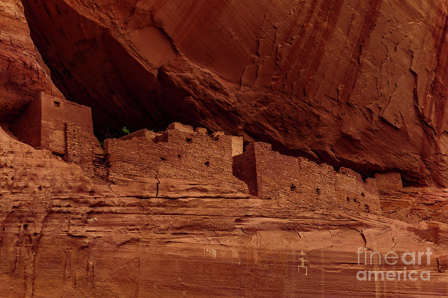 White House Ruins And Petroglyphs Photograph by Jaime Miller