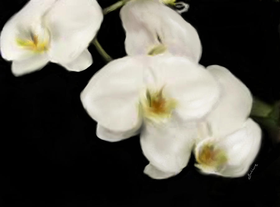 White Innocence by Sannel Larson White Innocence by Sannel Larson