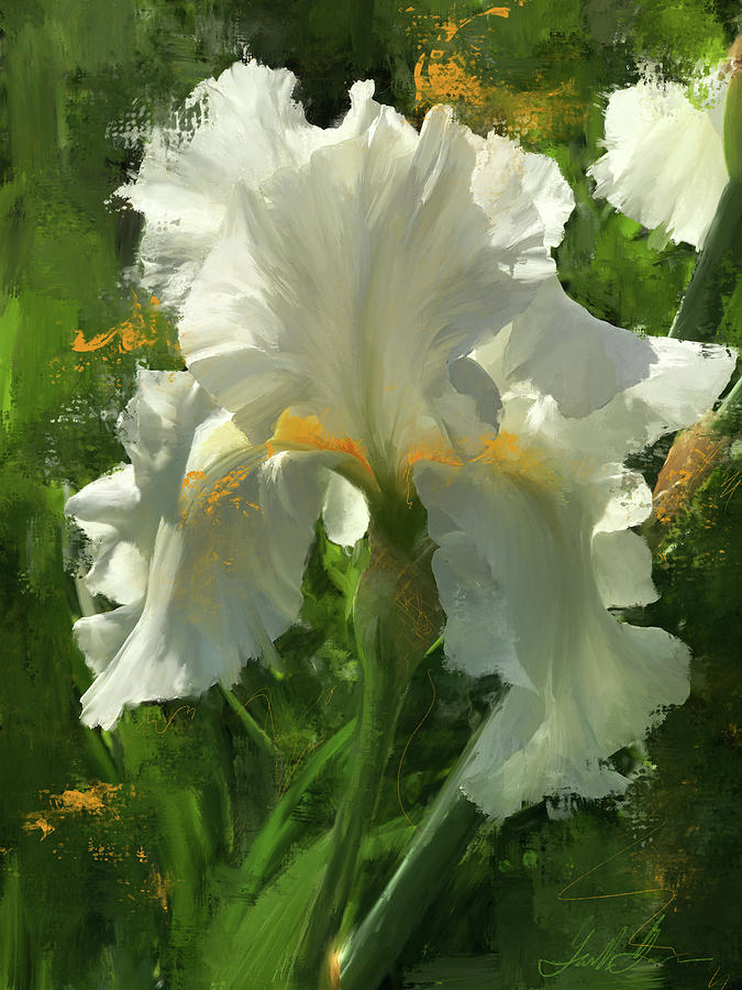 White Iris at Wauwatosa Digital Art by Garth Glazier