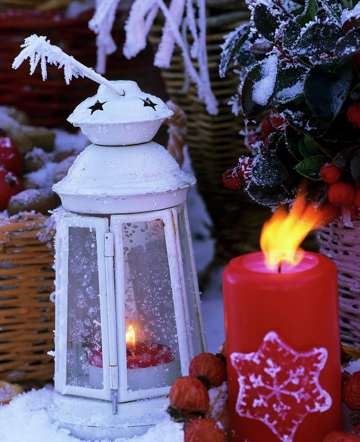 White Lantern With Candle In Snow Photograph by Friedrich Strauss