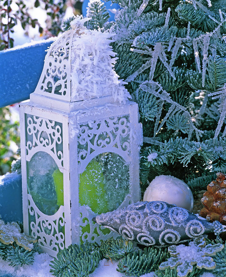 White Lantern With Ornaments And Green Candle In Hoarfrost Photograph by Friedrich Strauss