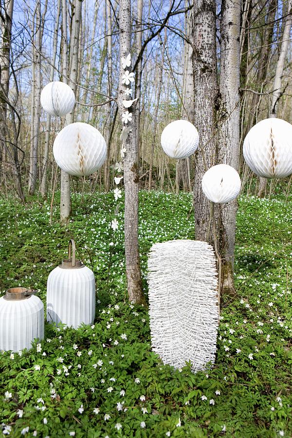 White Lanterns Of Various Shapes In Thin Woodland Carpeted With Flowering Wood Anemones Photograph by Annette Nordstrom