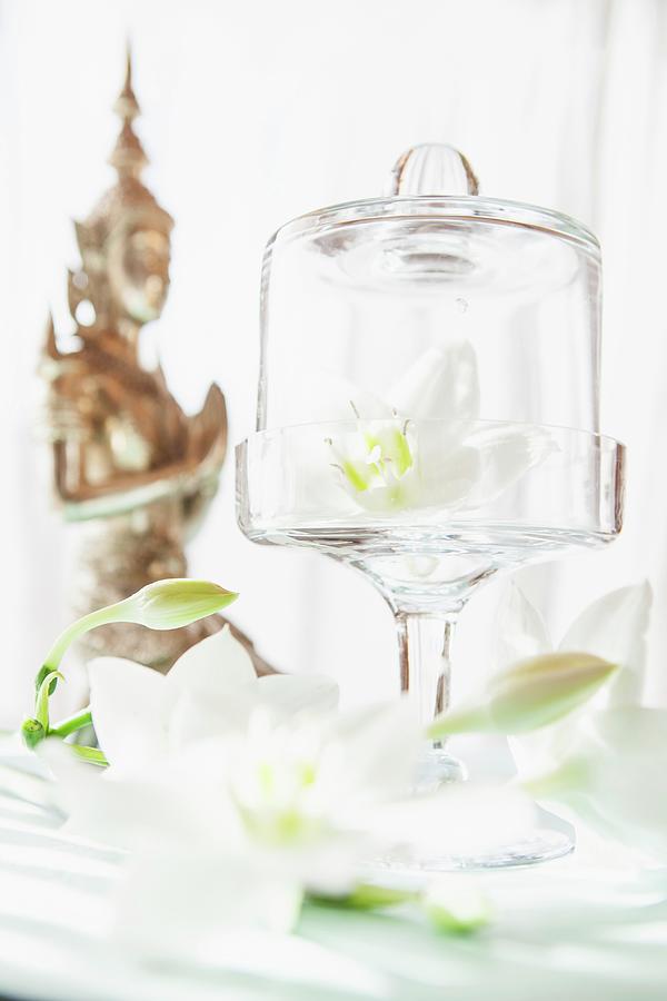 Lily Photograph - White Lilies And Oriental Statue Decorating Table by Anneliese Kompatscher
