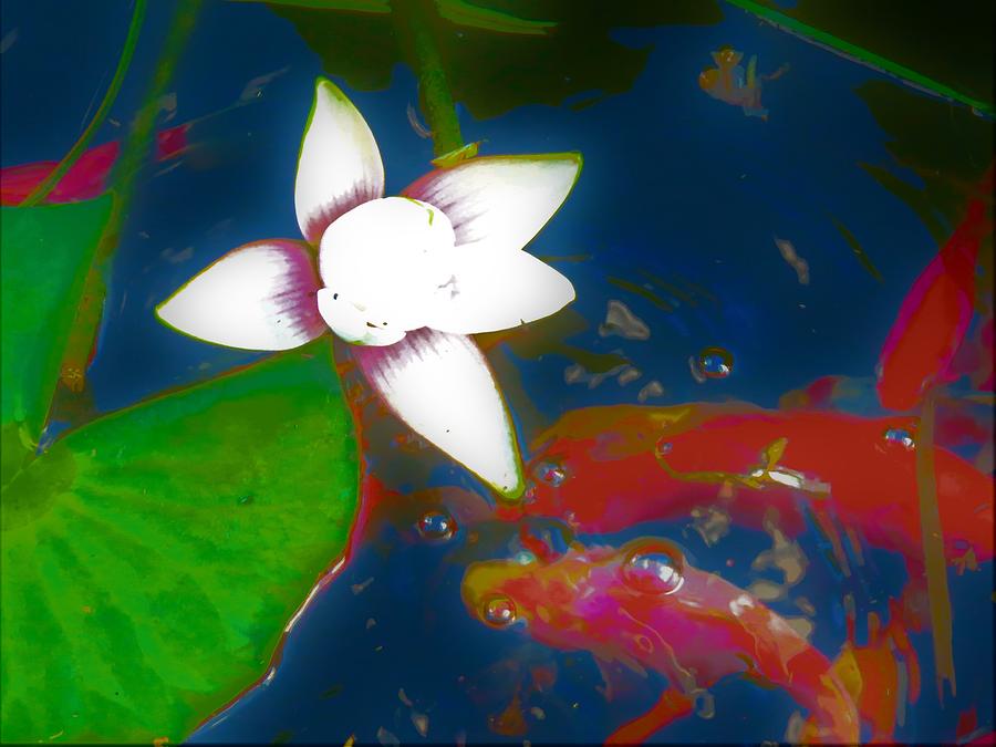 White Lilly, Bubble Delight Abstract Digital Enanced Photograph