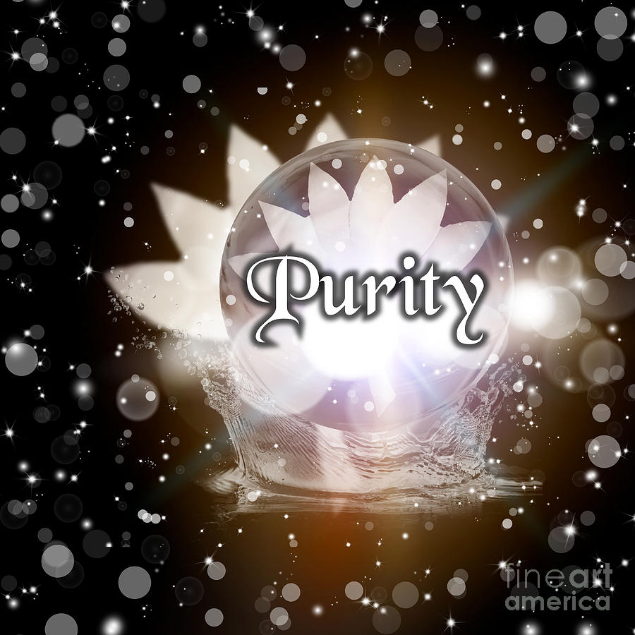 White Lotus Purity Digital Art by Rachel Hannah