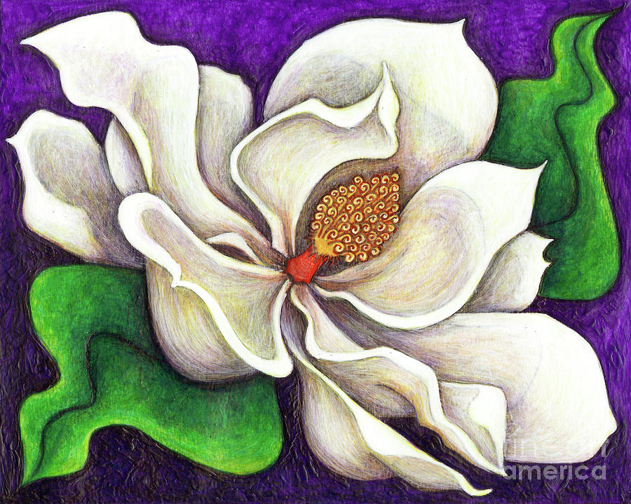 White Magnolia Painting by Amy E Fraser