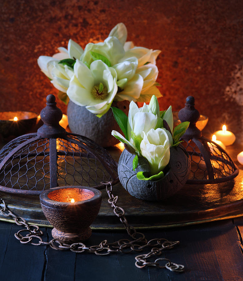 White Magnolia Flowers In Black Vases Photograph by Alena Hrbkov