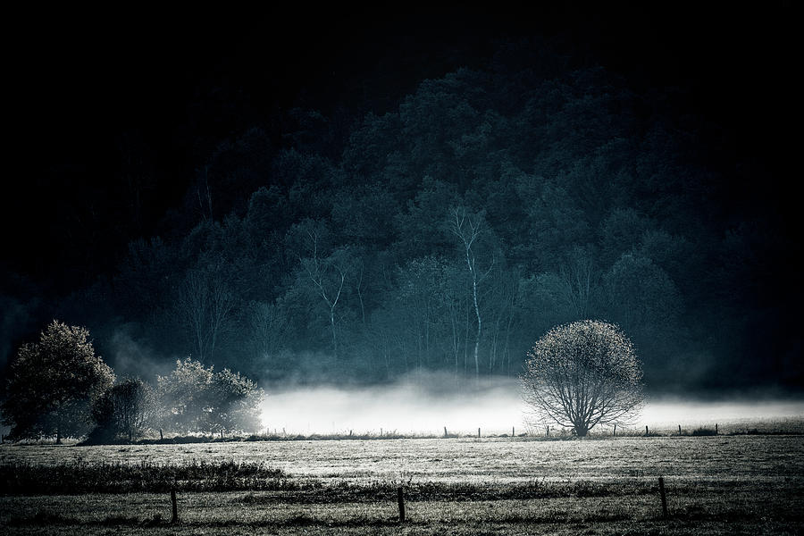 White Mist Photograph by Philippe Sainte-Laudy