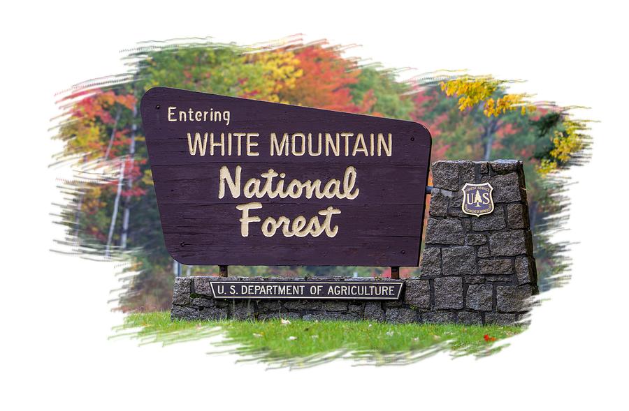 White Mountain National Forest Cutout Photograph by White Mountain Images