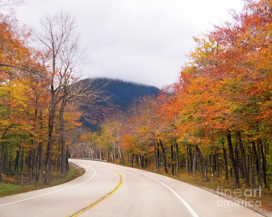 White Mountain Road Photograph by Cheryl Del Toro