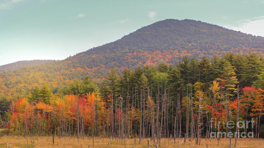 White mountains autumn splendor Photograph by Claudia M Photography