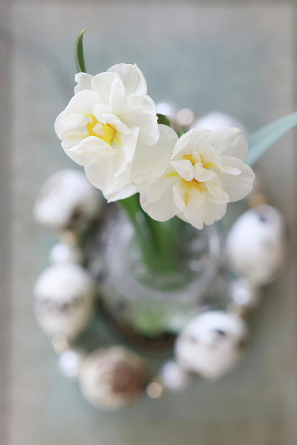 White Narcissus In Circlet Of Threaded Quail Eggs Photograph by Regina Hippel