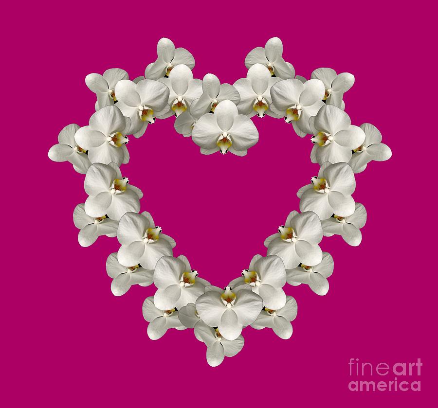 Flower Photograph - White Orchid Floral Heart Love and Romance by Rose Santuci-Sofranko