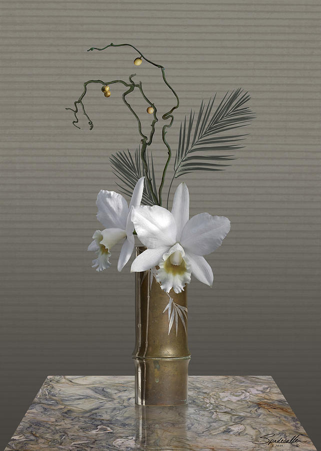 White Orchid Digital Art by M Spadecaller