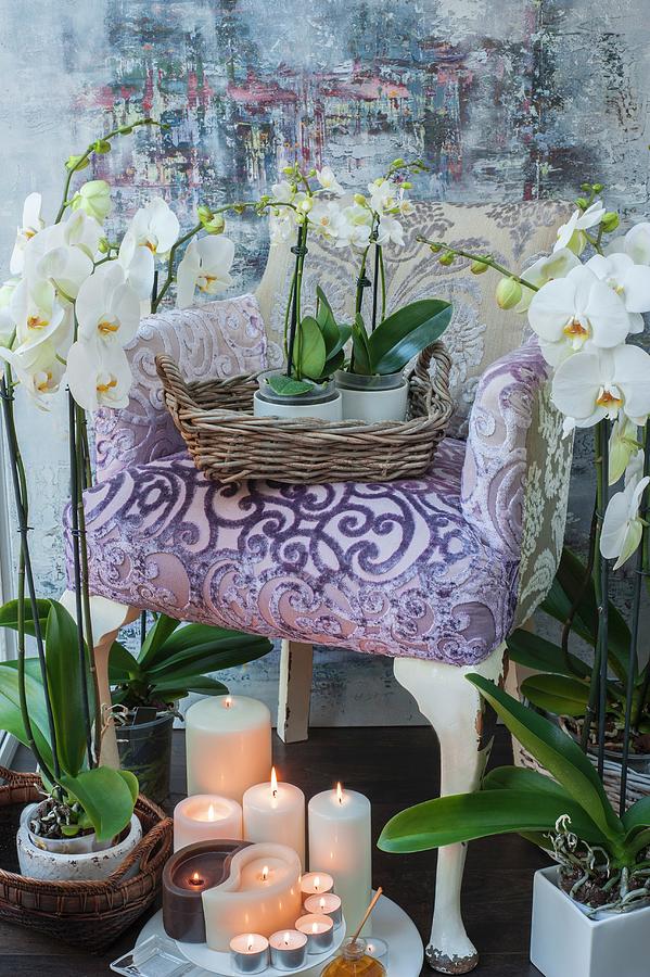 White Orchids And Candles Around And On Armchair With Purple Upholstery Photograph by Linda Burgess